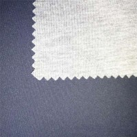 Eco-friendly high quality pongee fabric 300T Semi-dull Pongee compound fabric woven textile